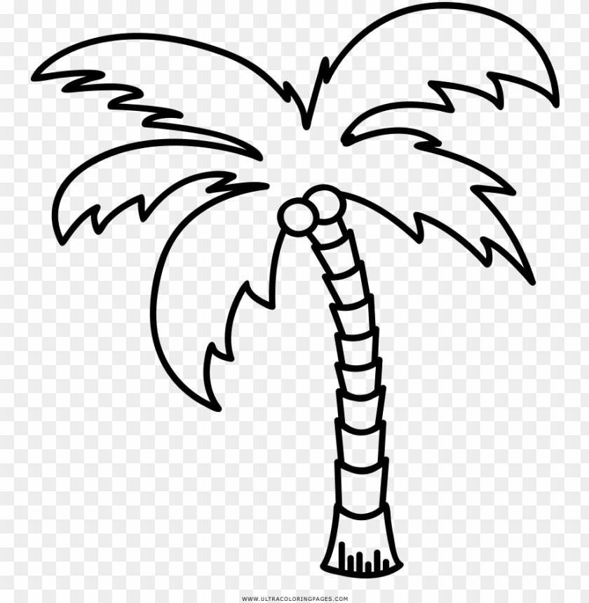 Dibujo de palmera para colorear ultra coloring pages