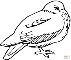 Resultado de imagen para un paloma para dibujar bird coloring pages animal coloring pages coloring pages