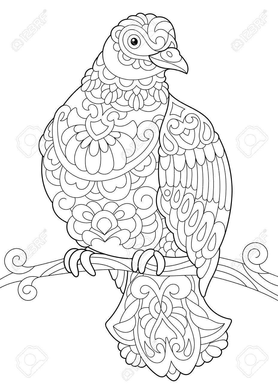 Coloring page of a pigeon sitting on tree branch royalty free svg cliparts vectors and stock illustration image