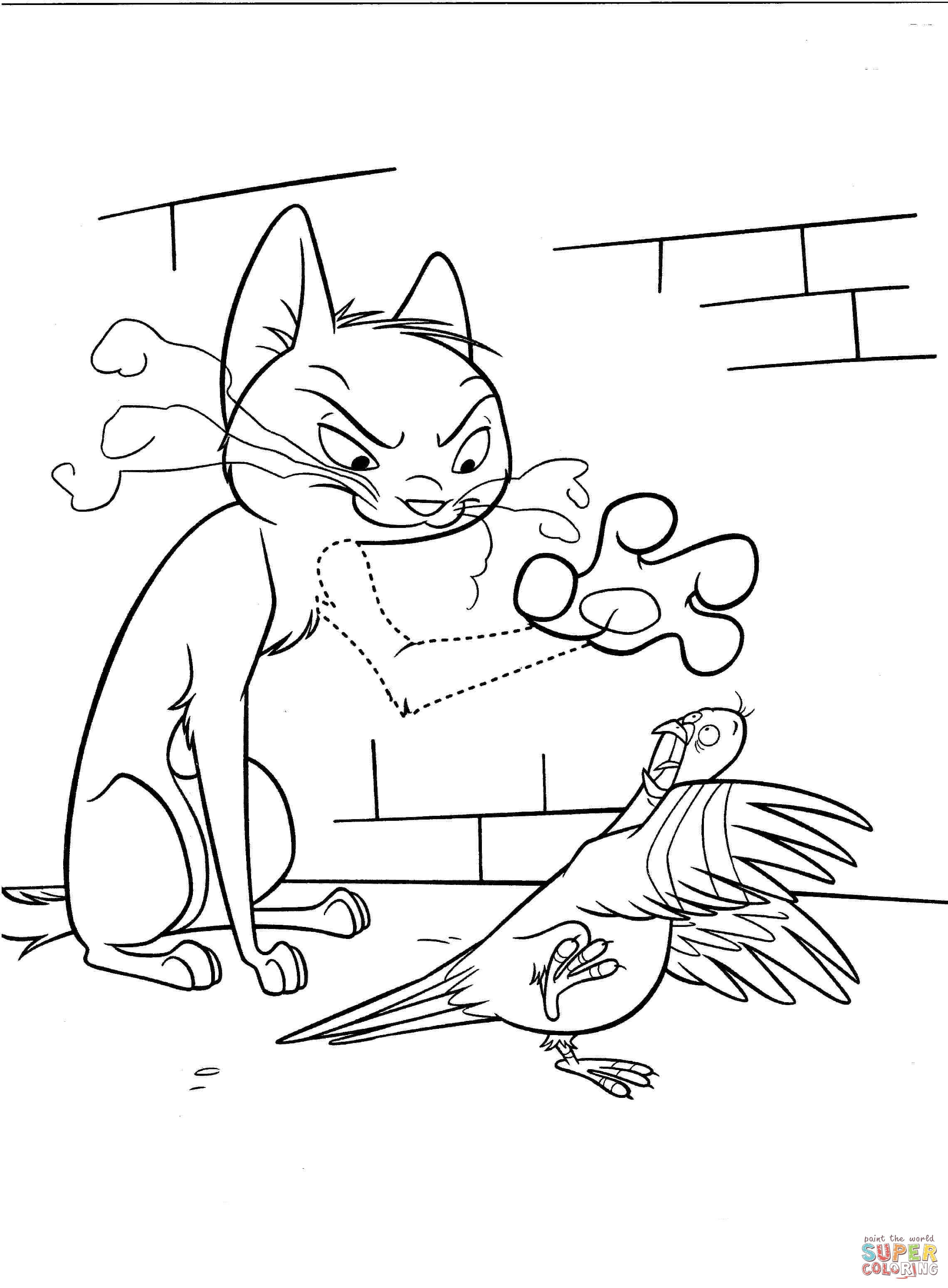 Angry cat with dove coloring page free printable coloring pages