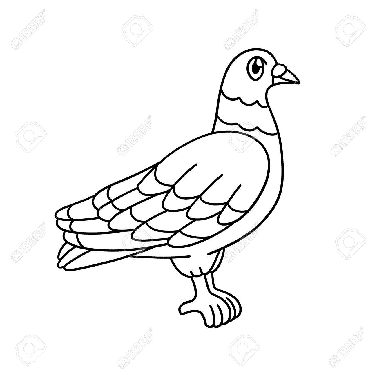 Pigeon coloring page isolated for kids royalty free svg cliparts vectors and stock illustration image