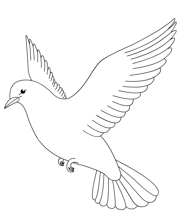 Birds coloring book pages color dove