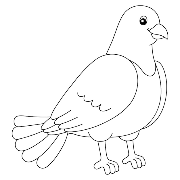 Premium vector pigeon coloring page isolated for kids