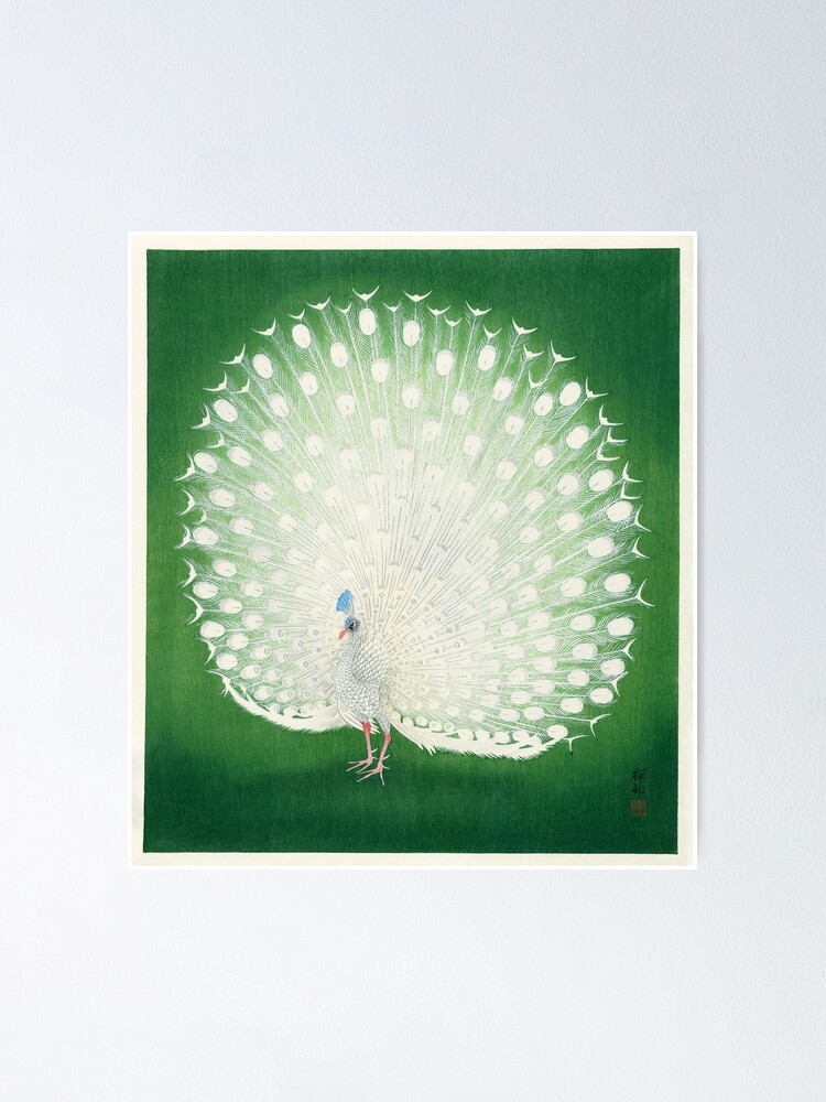 Pãster for sale con la obra pavo real blanco de ohara koson hermoso pavo real blanco vintage extendiendo su cola pintura vintage de megha sarge