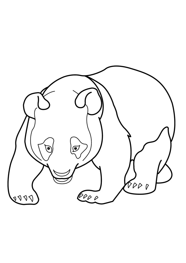 Coloring pages panda coloring pages free