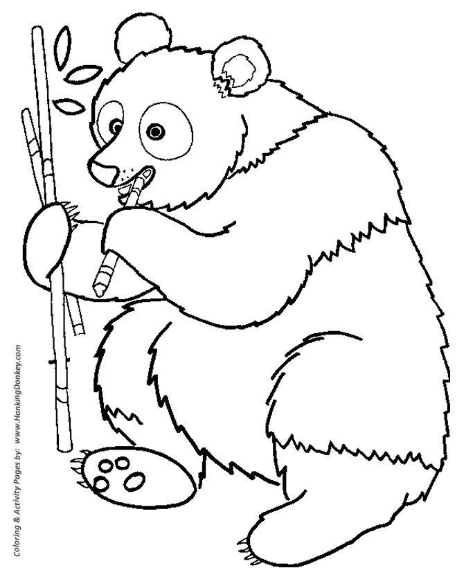 Wild animal coloring pages panda bear eating bamboo coloring page and kids activity sheet