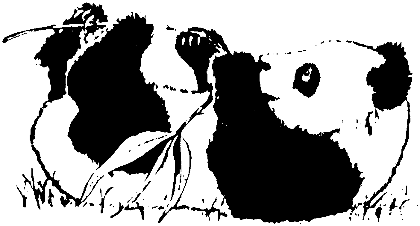 Free panda bear coloring pages