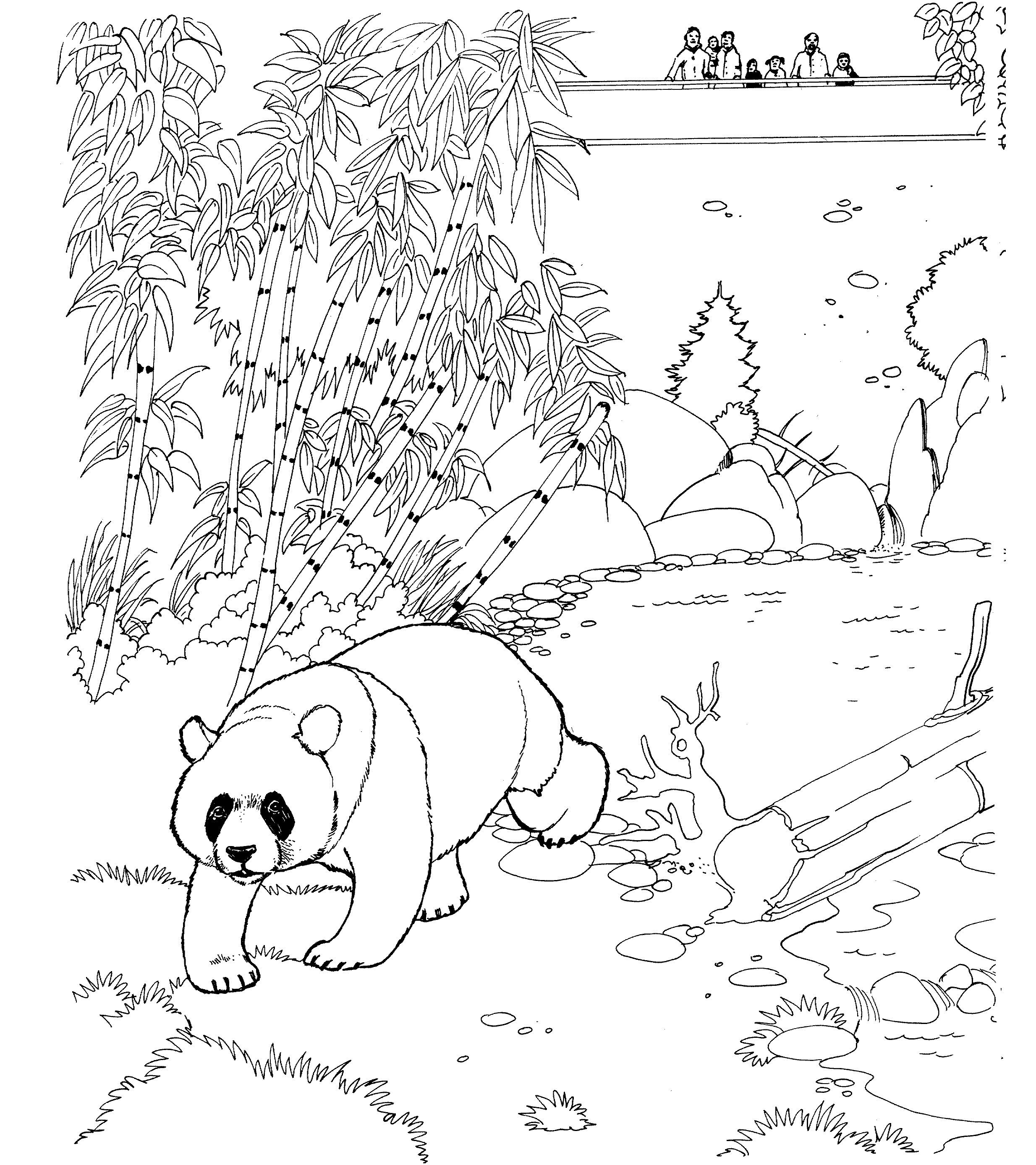 Free panda bear coloring pages