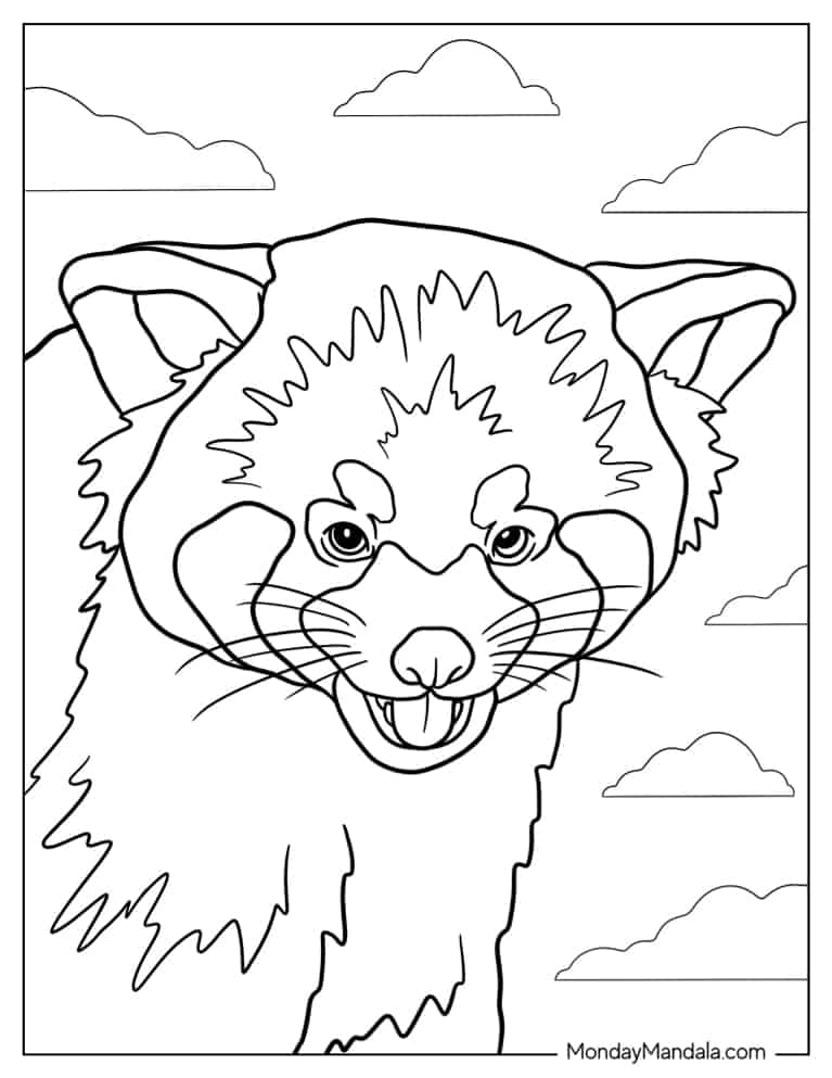 Red panda coloring pages free pdf printables