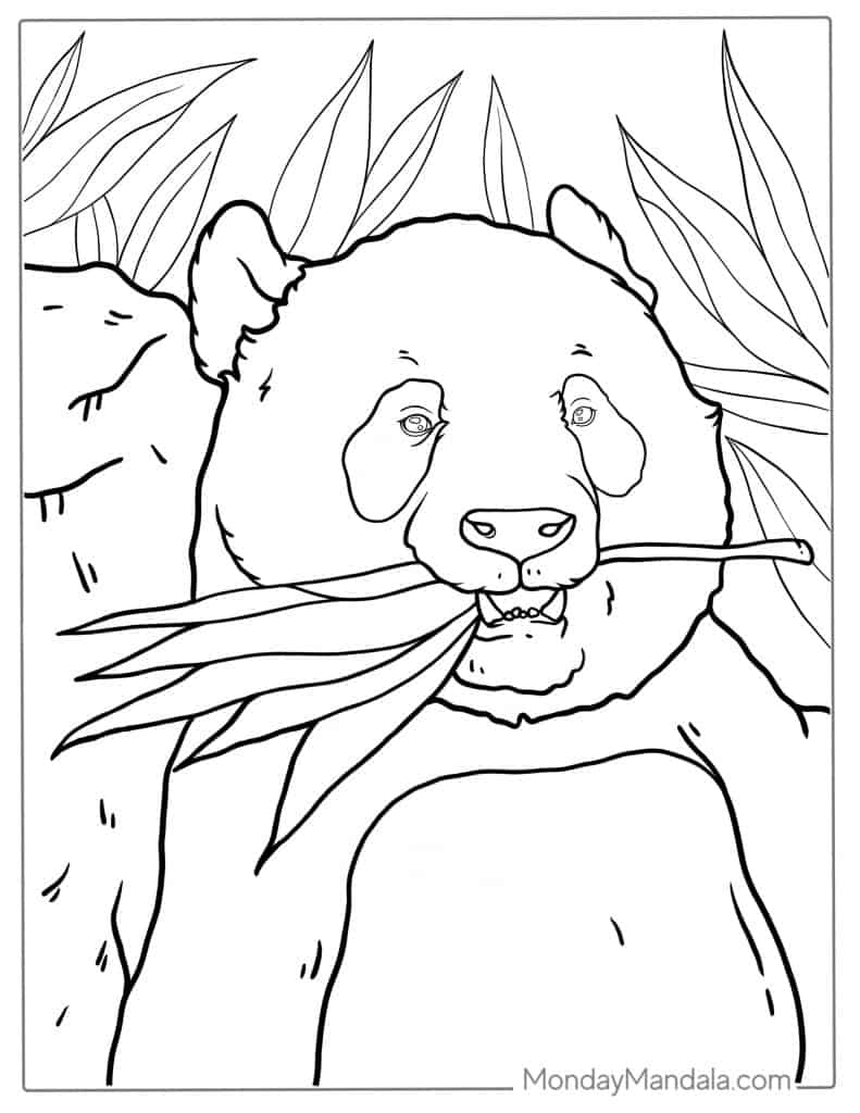 Panda coloring page free pdf printables