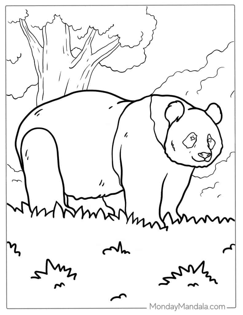 Panda coloring page free pdf printables