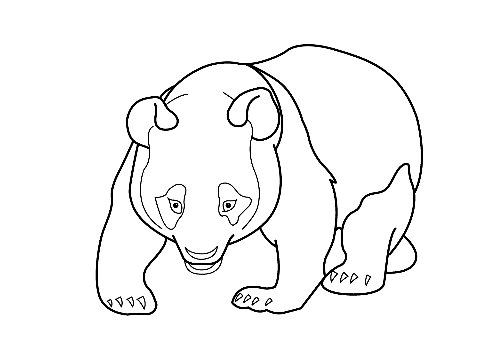 Panda coloring pages