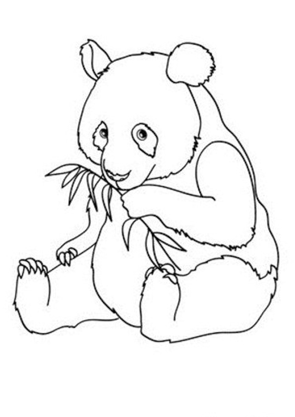 Coloring pages panda coloring pages for kids