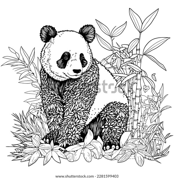 Panda adult coloring images stock photos d objects vectors