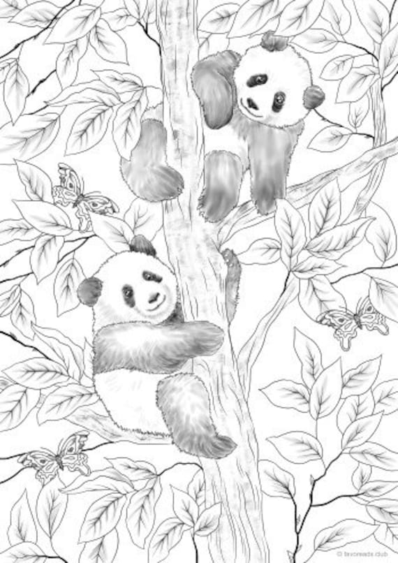 Pandas printable adult coloring page from favoreads coloring book pages for adults and kids coloring sheets coloring designs download now