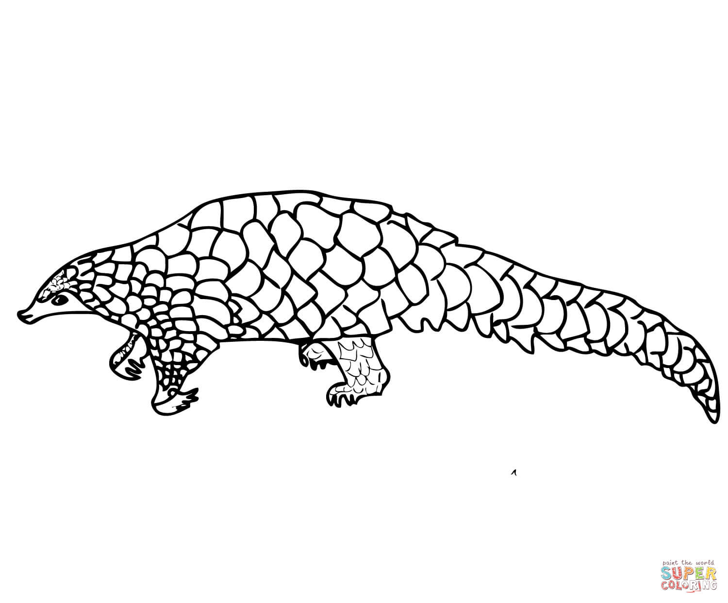 Pangolin scaly anteater coloring page free printable coloring pages