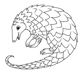 Pangolin coloring animal vector images over