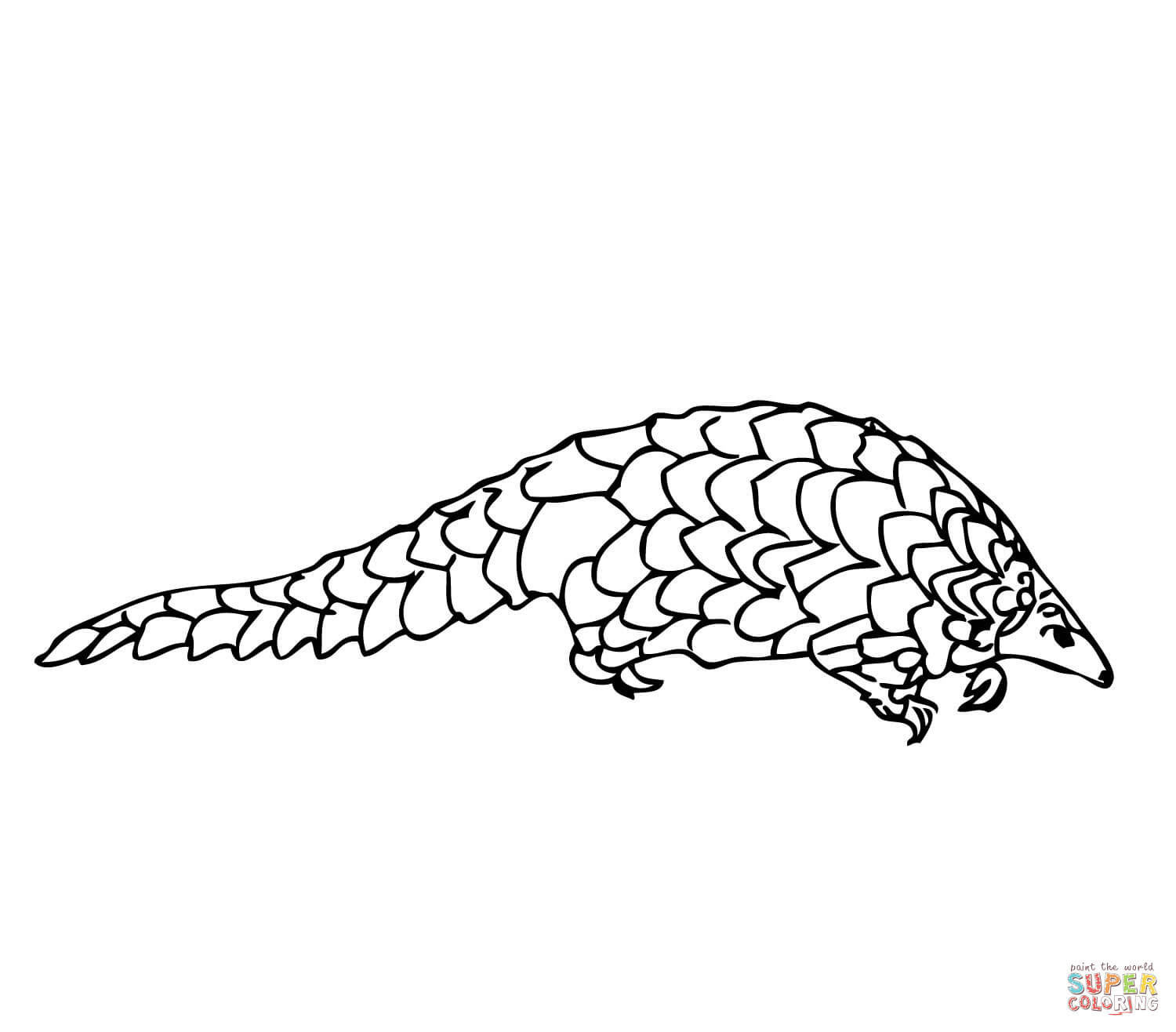 Pangolin manis coloring page free printable coloring pages