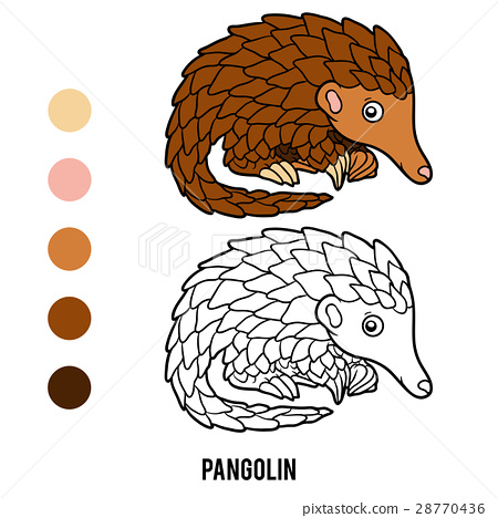 Coloring book pangolin