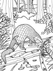 Resources fun stuff animal coloring books animal coloring pages endangered species art