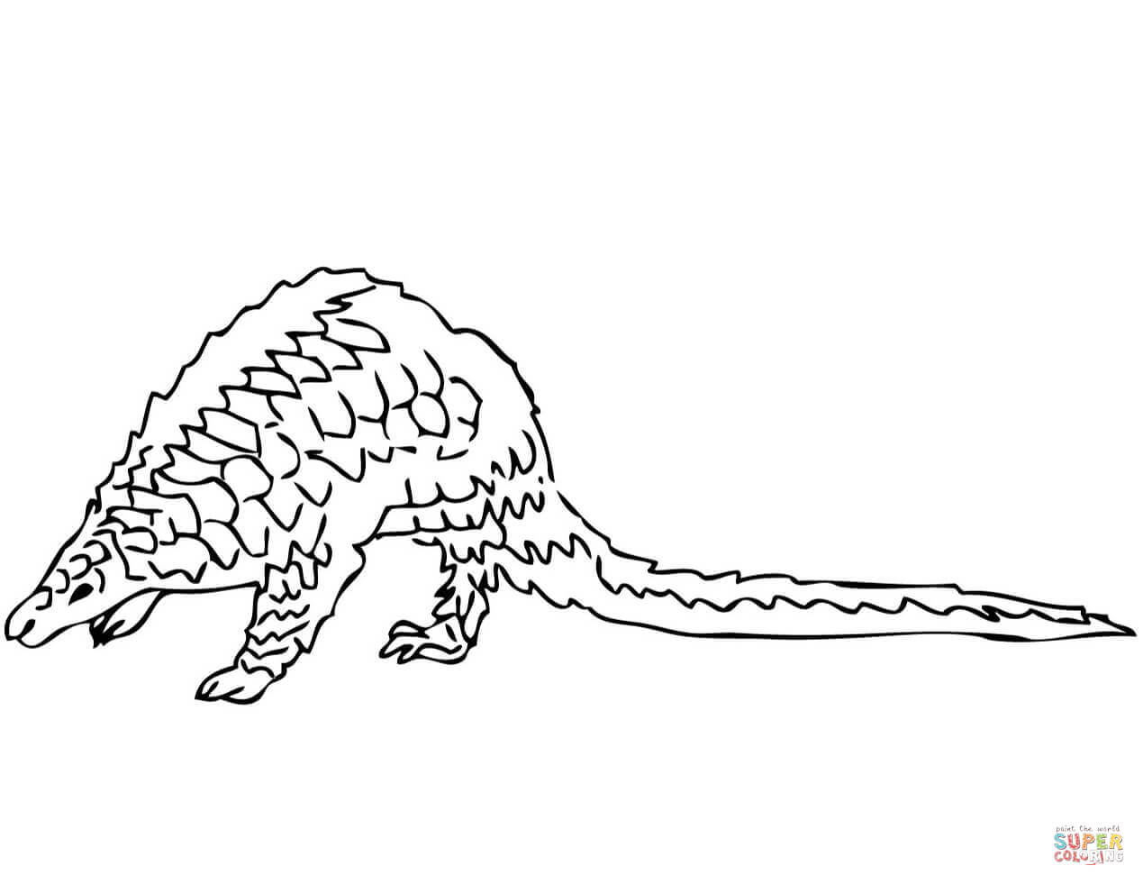 Pangolin coloring page free printable coloring pages