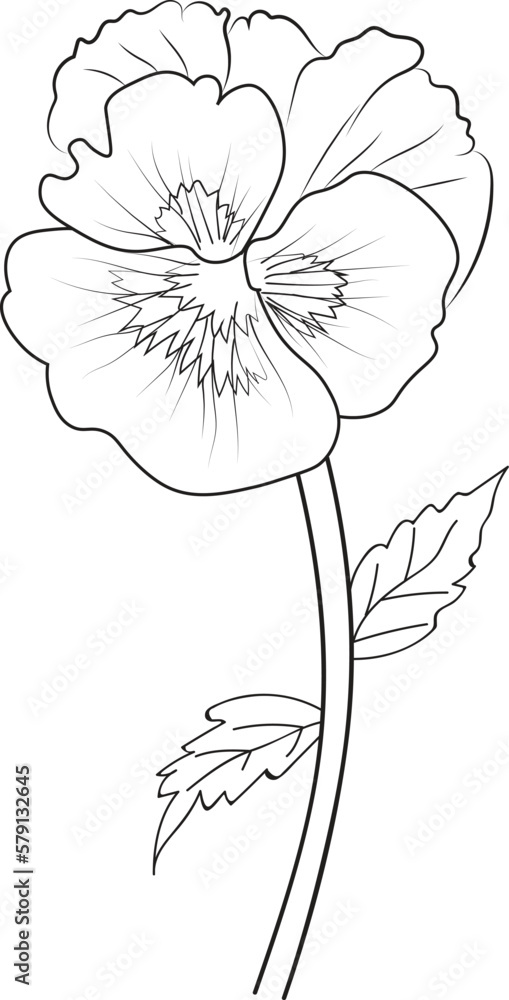 Cute kids coloring pages easy pansy flower drawing pansy flower black and white illustration pansy flower vector art simple flower drawing vector