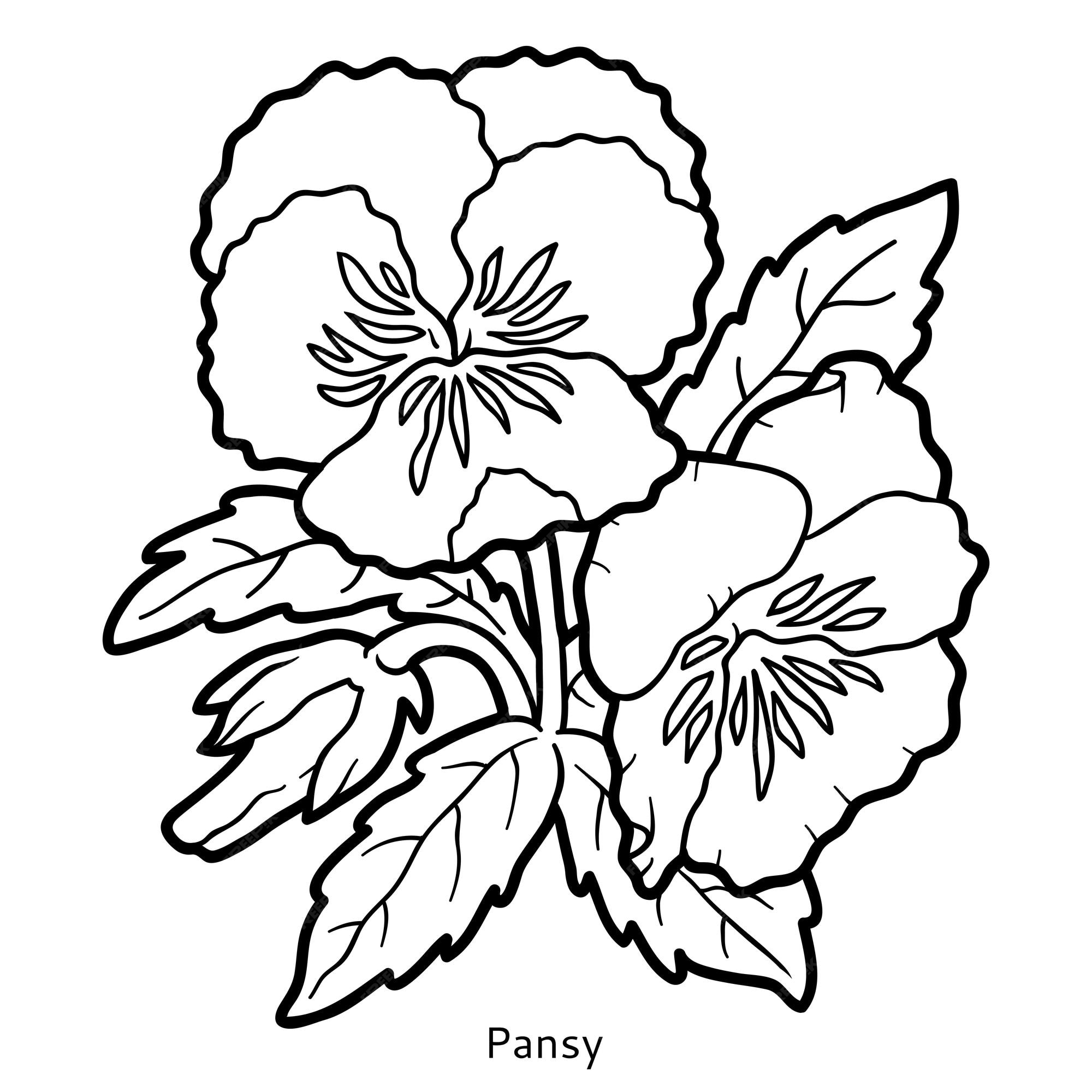 Premium vector coloring book for children flower pansy