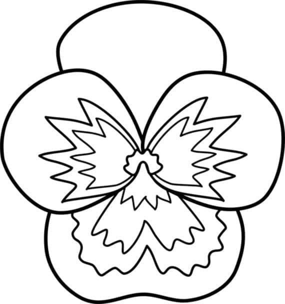 A pansy flower coloring page