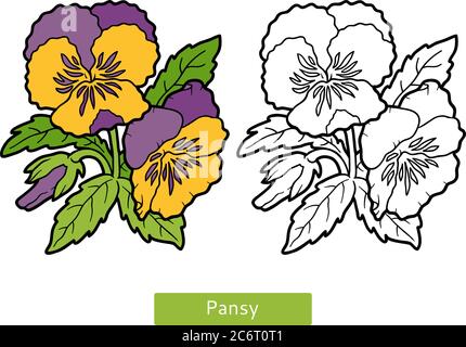 Coloring book for children flower pansy stock vector image art