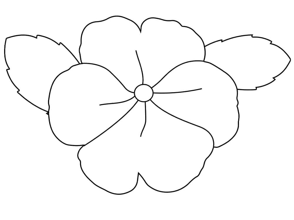 Simple pansy coloring page