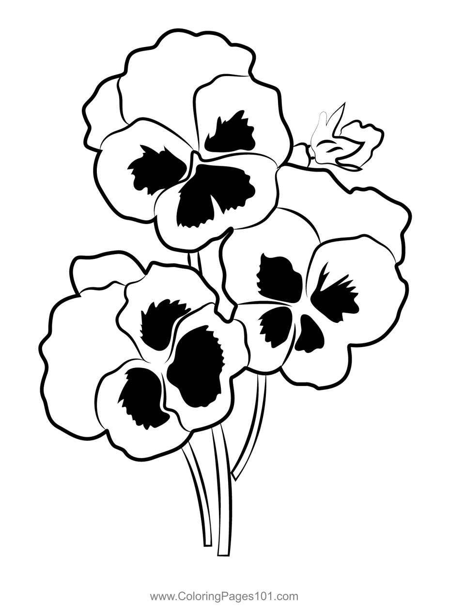 Colorful pansy flower coloring page pansies flowers flower coloring pages pansies