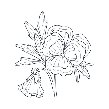 Pansy flower monochrome drawing for coloring book stock illustration