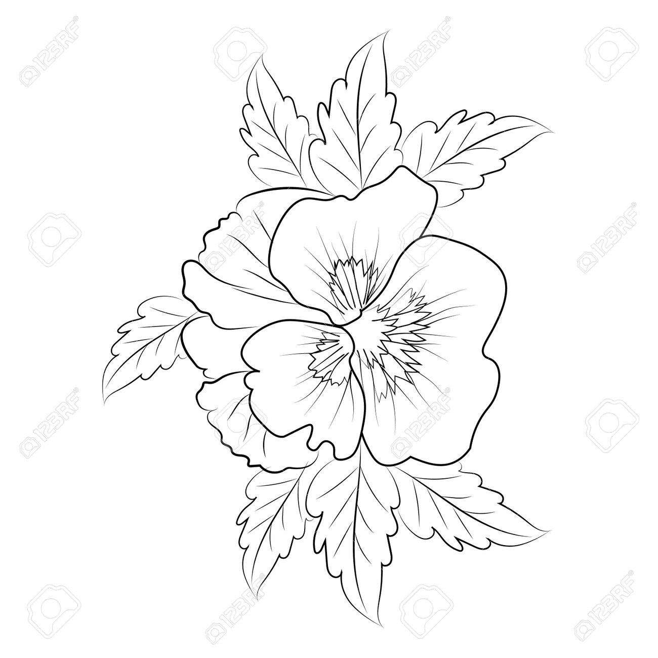 Simple pansy drawing cute kids coloring pages easy pansy flower drawing pansy flower black and white illustration pansy flower outline pansy flower vector art royalty free svg cliparts vectors and stock illustration