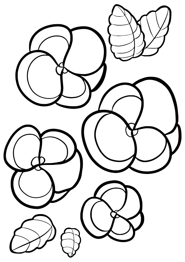 Pansy drawing for coloring page free printable nurieworld