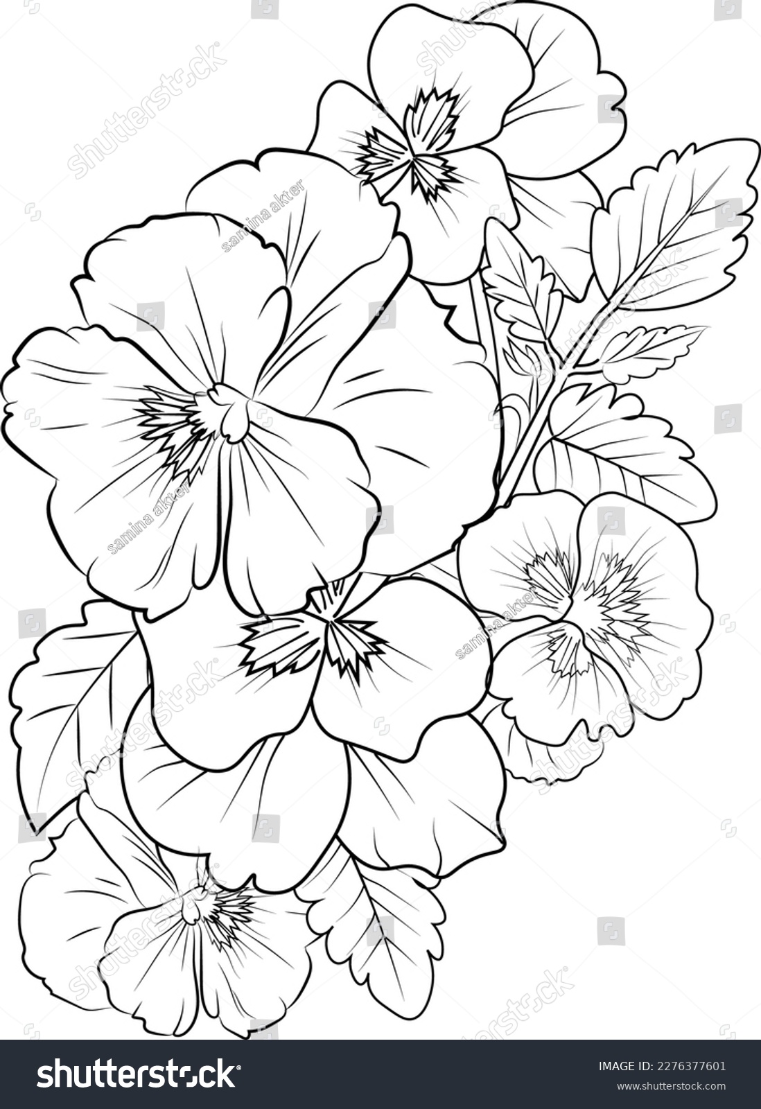 Tropical flower pansy coloring pages pansy stock vector royalty free