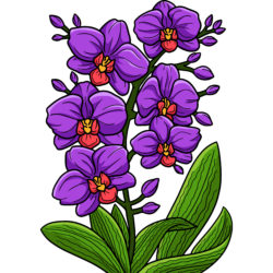 Pansy coloring page