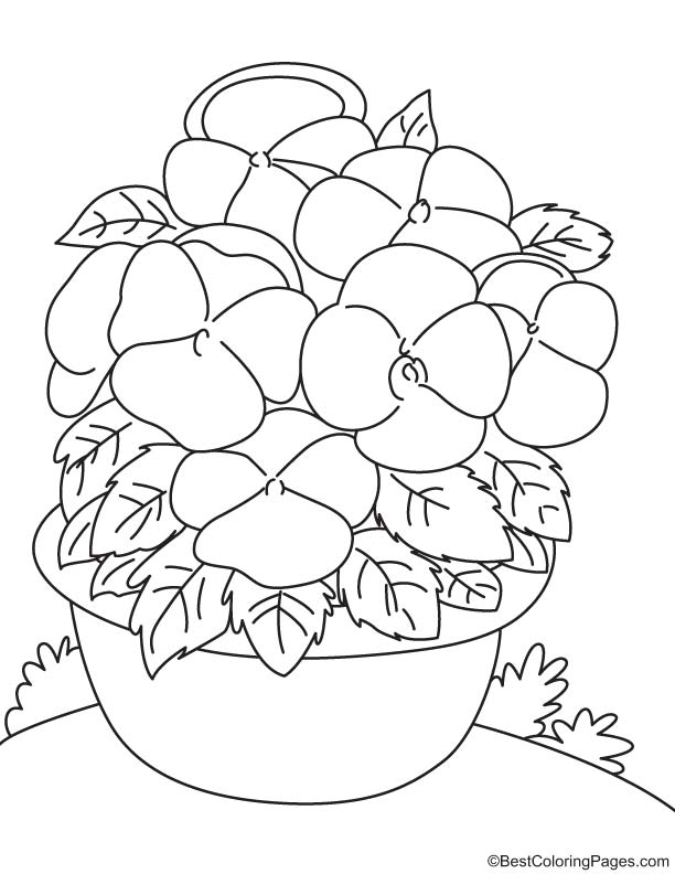 Bicolor pansy coloring page download free bicolor pansy coloring page for kids best coloring pages