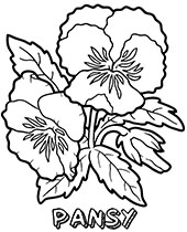 Print a picture of flowers to color for free