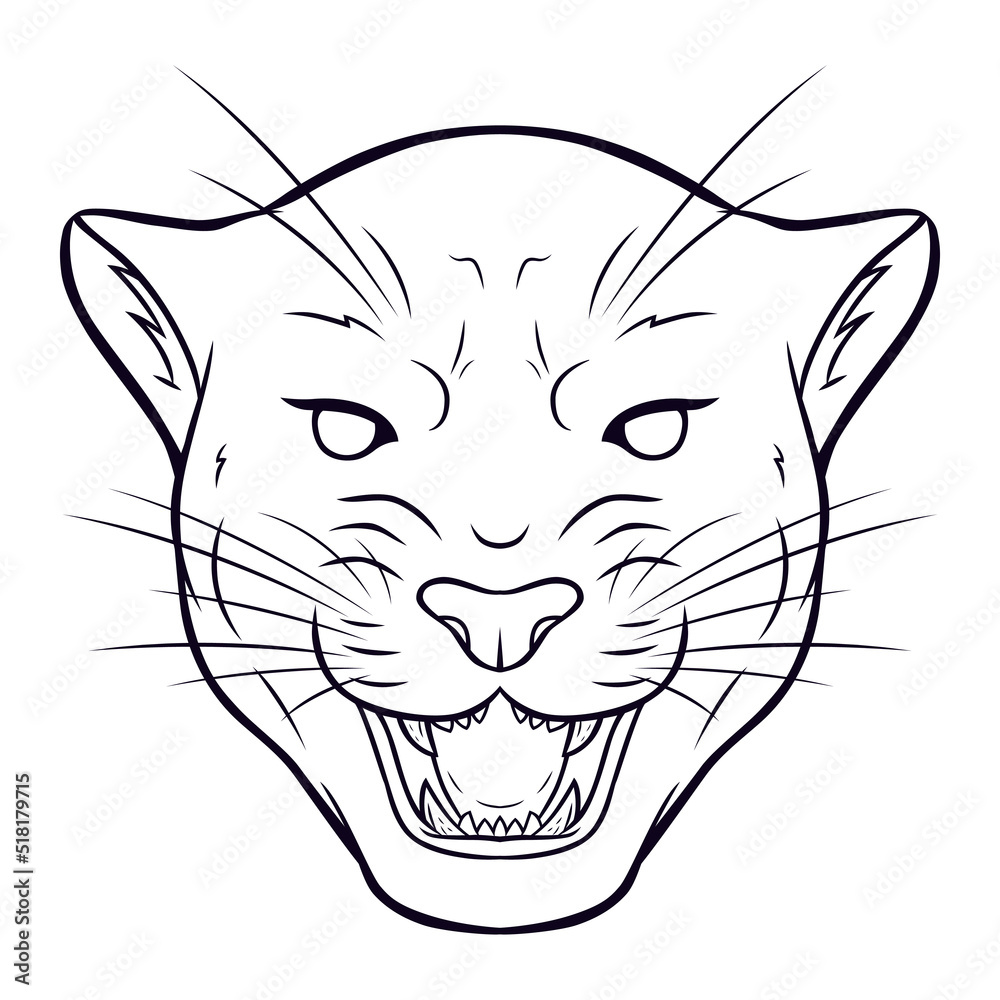 Angry panther head wild cat with angry face expression black and white contour line art coloring page outline vector illustration vector