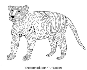 Panther coloring book adults raster illustration stock illustration