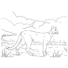 Printable panther coloring pages your toddler will love