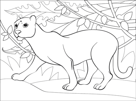 Panther coloring page free printable coloring pages