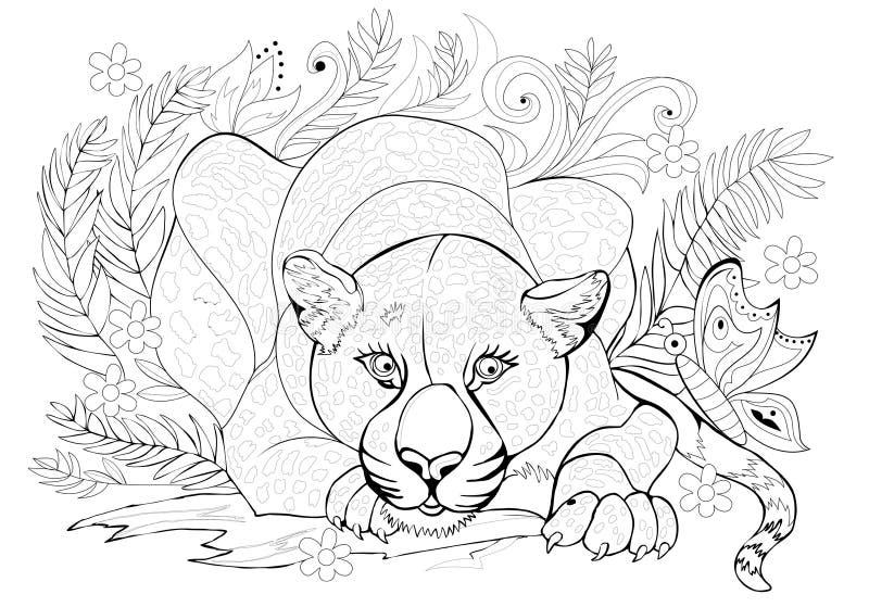 Panther coloring page stock illustrations â panther coloring page stock illustrations vectors clipart