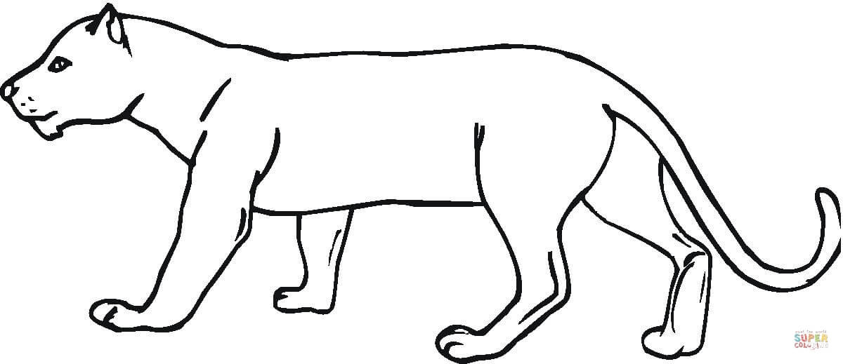 Panther coloring page free printable coloring pages