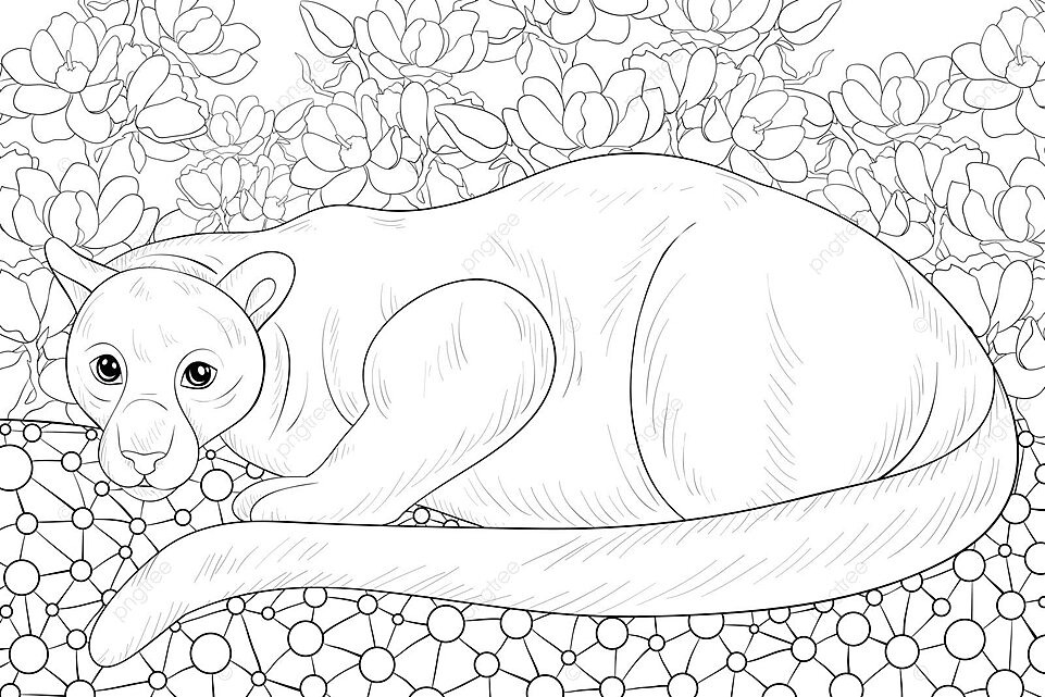 Cute panther coloring page for adults with a floral background vector panther background drawing png and vector with transparent background for free download