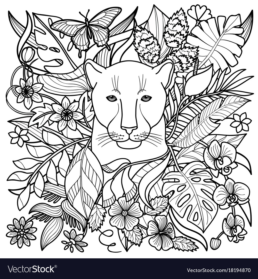 Panther coloring page royalty free vector image