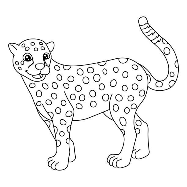 Panther coloring page stock illustrations royalty