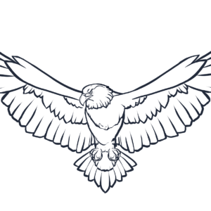 Eagle coloring pages printable for free download