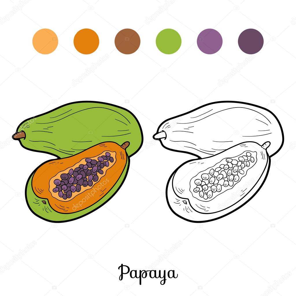 Coloring book fruits and vegetables papaya stock vector by ksenyasavva