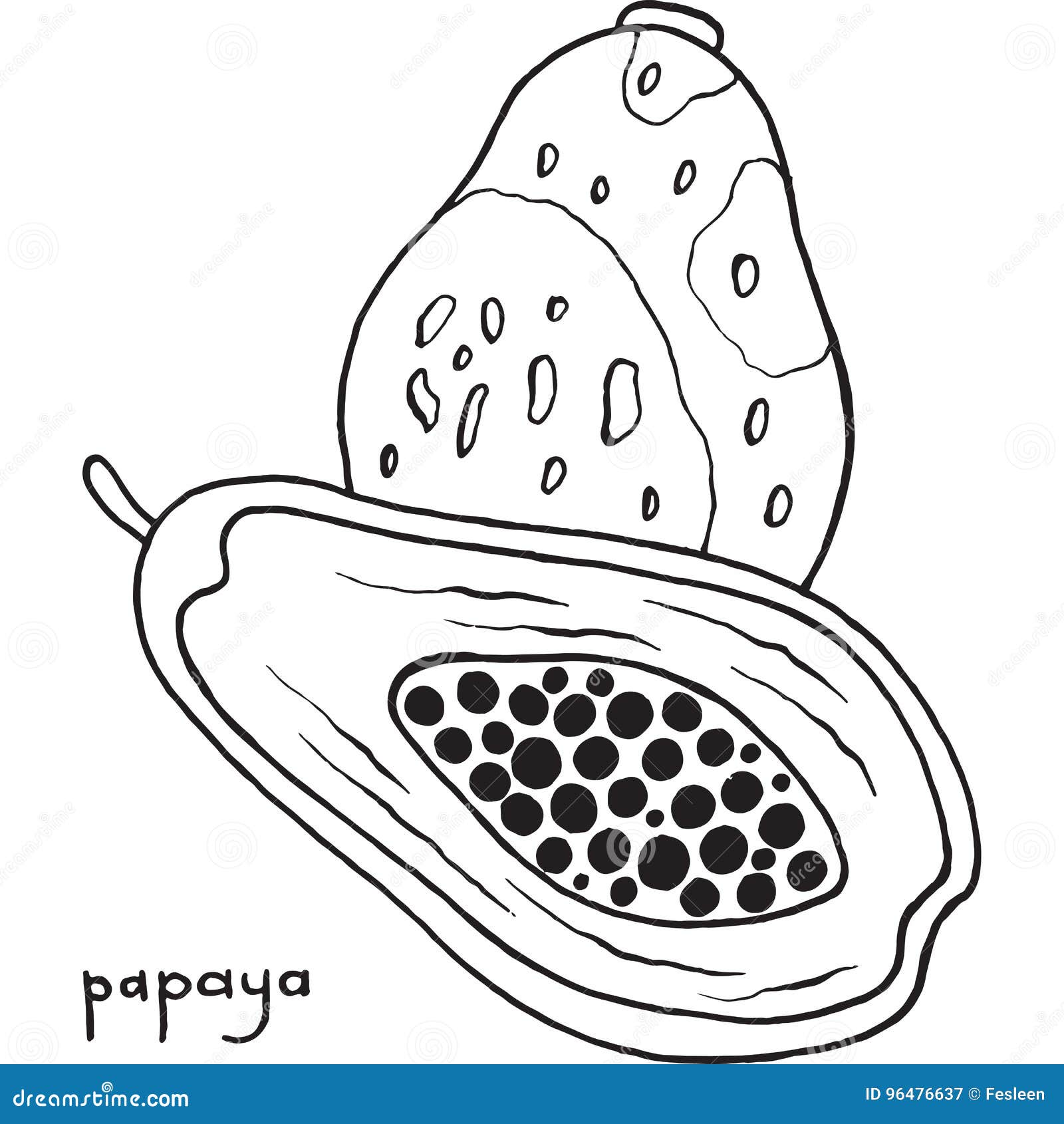 Papaya coloring page graphic vector black and white art for col stock vector